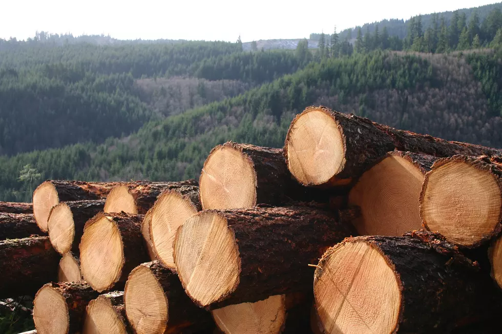 Rock Island Fire Department Rescues A Man Traveling By Log