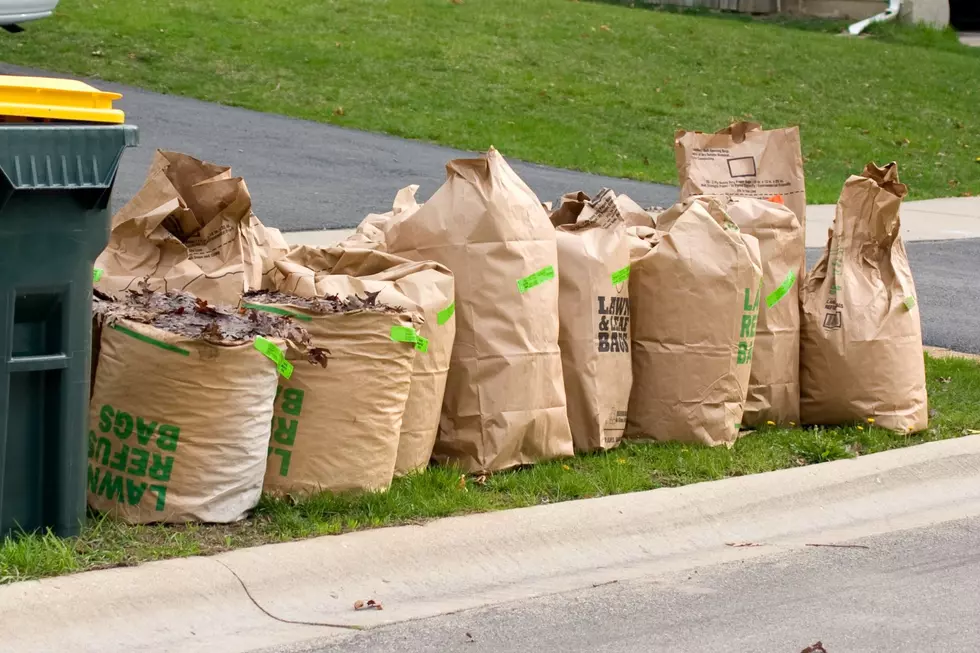 No Sticker Needed For Yard Waste In Bettendorf & Davenport