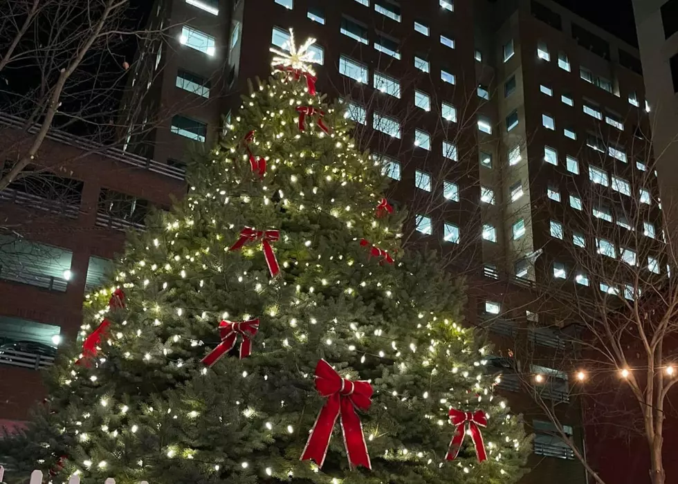 Get In The Spirit At Big Eastern Iowa Christmas Tree Lighting