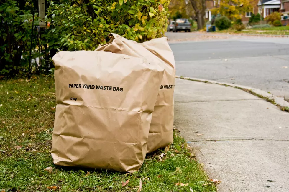 No Yard Waste Stickers Weeks To Begin In Davenport & Bettendorf