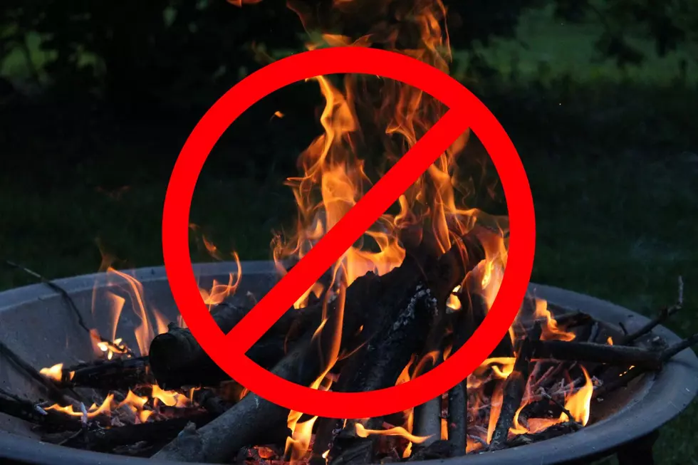 Eastern Iowa Burn Bans Issued Due To High Winds And Drought