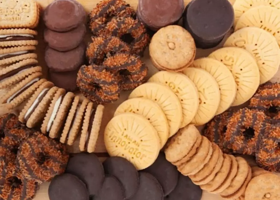 5 Things You’re Asked Not To Say During Iowa And Illinois Girl Scout Cookie Season